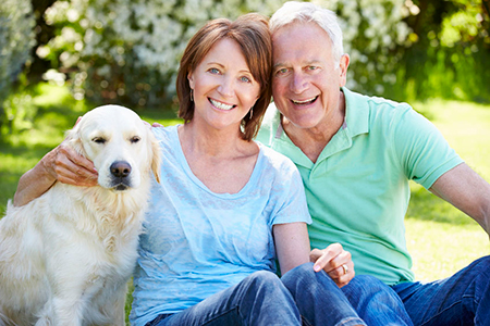 Axon Dental